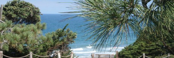 delmartimes Profile Banner