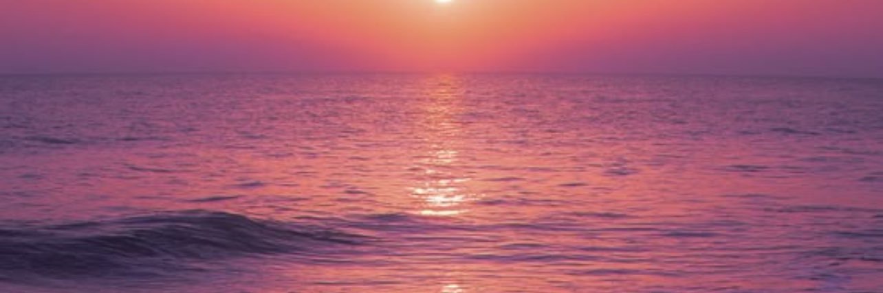 _sunshine22's profile banner image