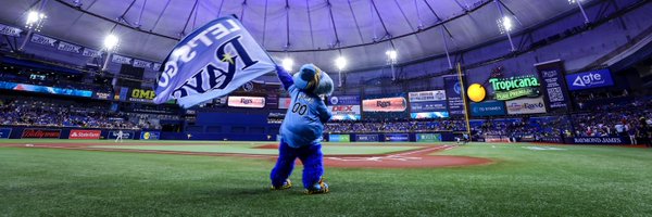 RaysRaymond Profile Banner