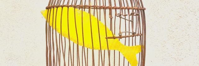 antonigarau's profile banner image