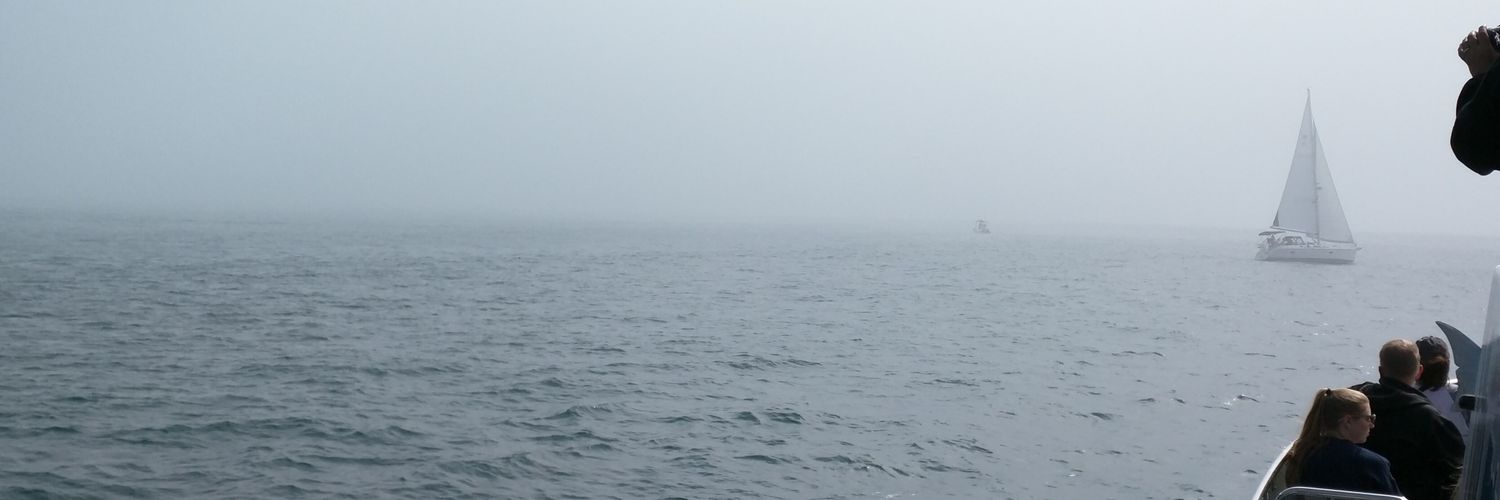 NMTNMS's profile banner image