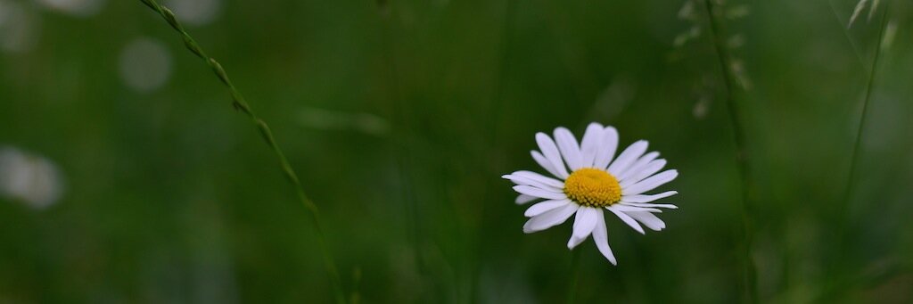 Roth_CGN's profile banner image