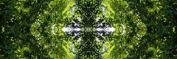 Beornvith Profile Banner