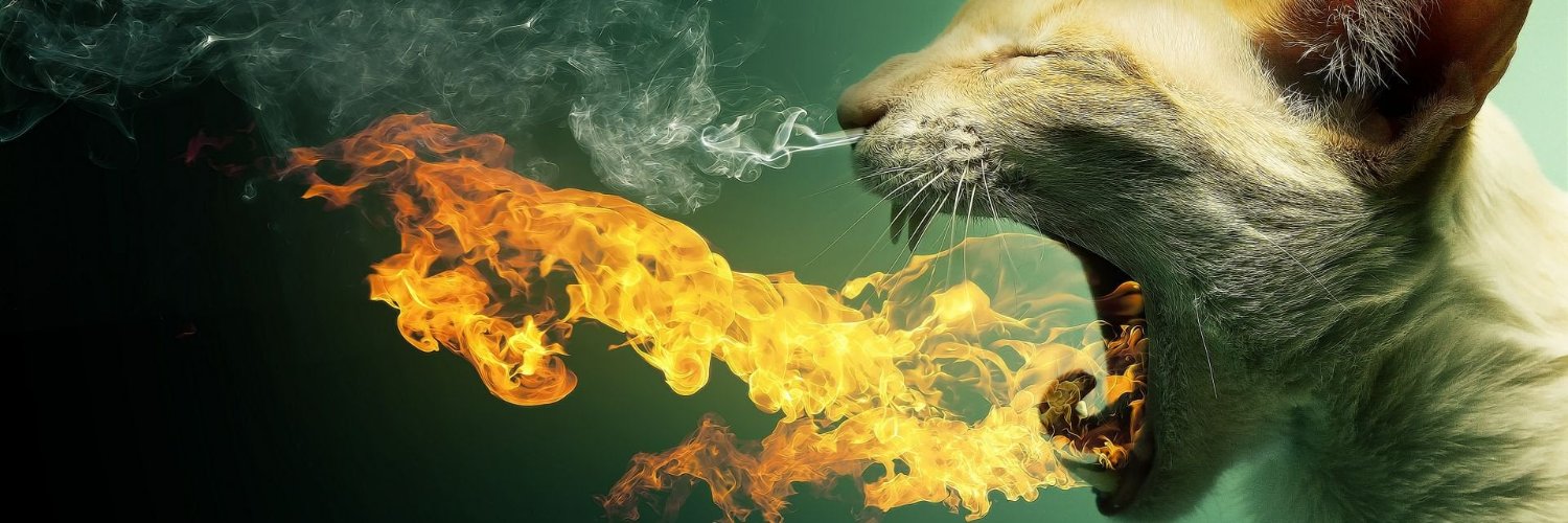 Ahmetpks's profile banner image