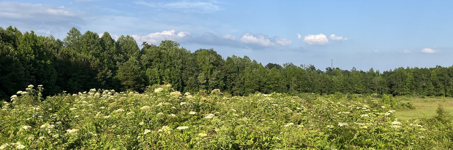 JustinSeales's profile banner image