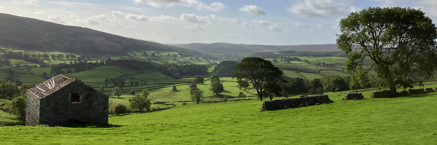 Stephen Exley banner