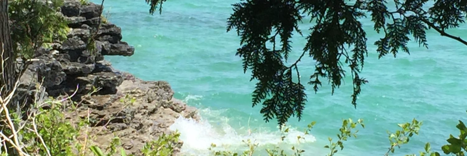 meghanmwolf's profile banner image