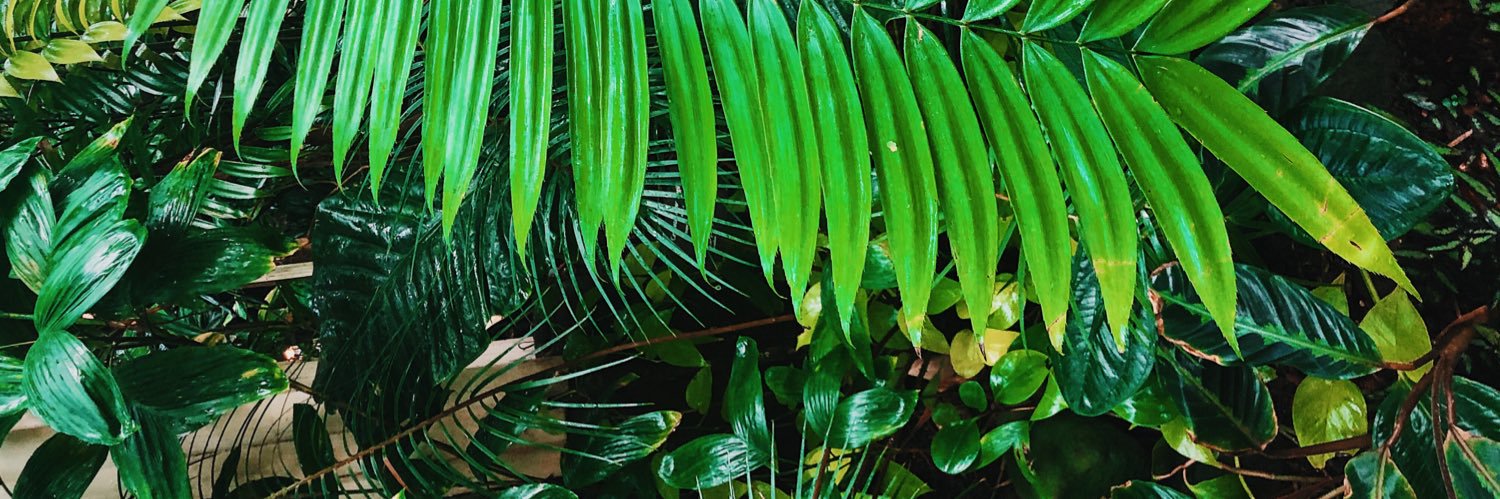 ismellpaper's profile banner image