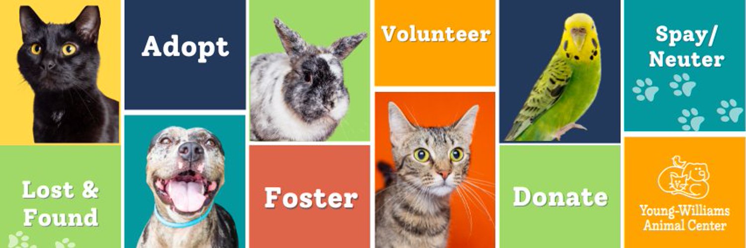 Young-Williams Animal Center Profile Banner
