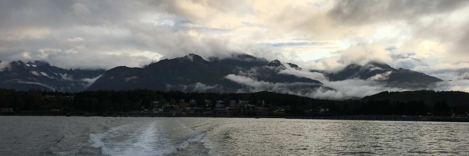 Rachel Schieffelbein banner