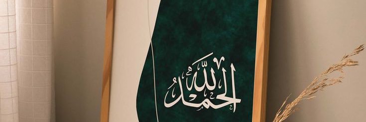 amer661166's profile banner image