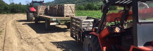 Alexandre Merle banner