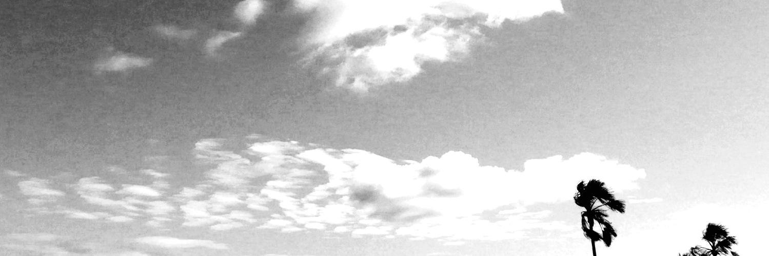 caroaular's profile banner image