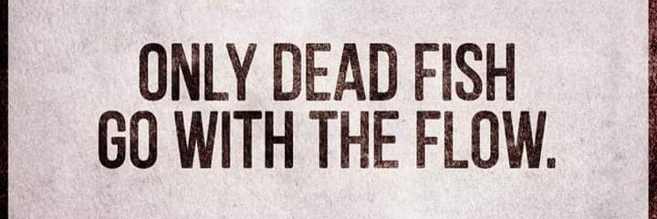 HhayatK's profile banner image