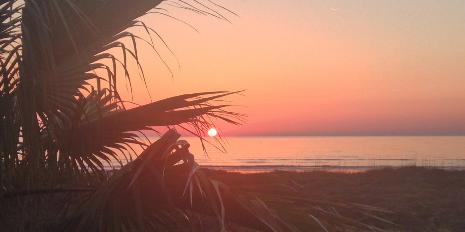 Quin Tutor-New banner