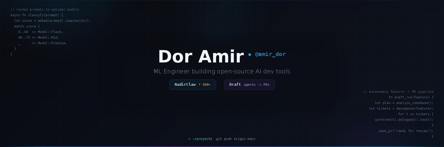 Dor Amir banner