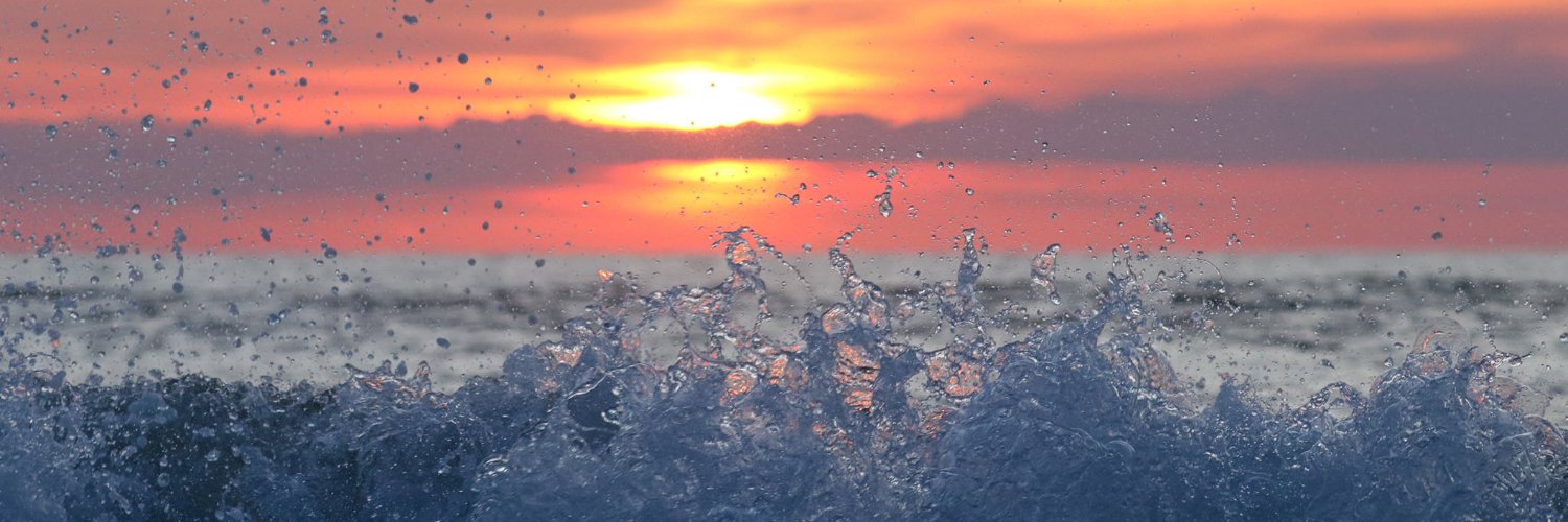 Amanda Gallagher banner