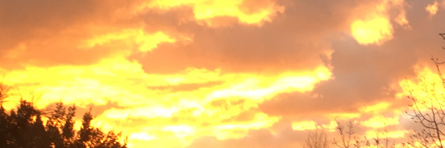 Kat Martin banner