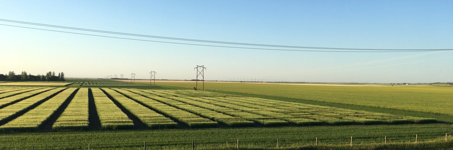 turciosk's profile banner image