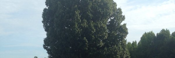EASTWAKEACADEMY Profile Banner