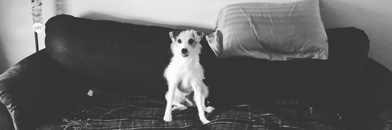 Mitchell Schmidt banner