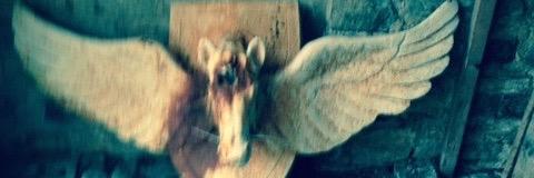 B banner