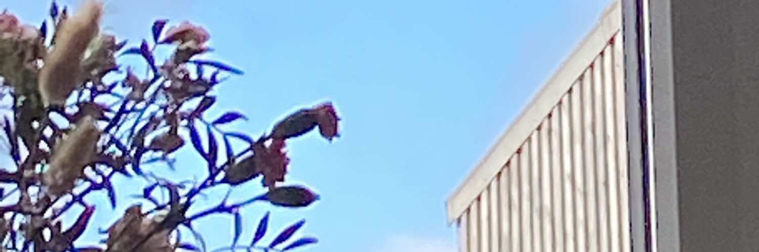 z0e____'s profile banner image