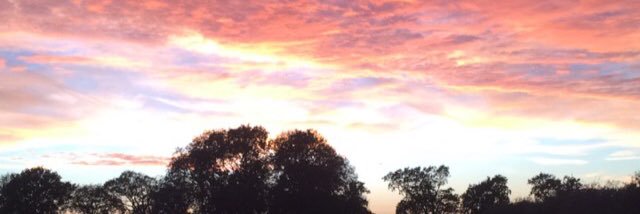 Izzy Botfield banner