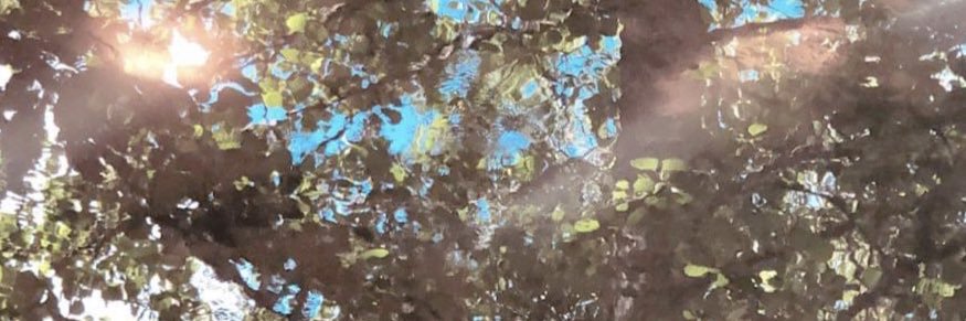 conwaycoole's profile banner image