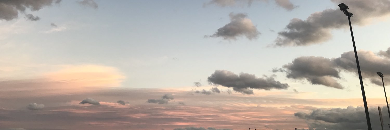 felicelanzaro's profile banner image