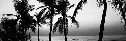 TuesdaySummers1's profile banner image