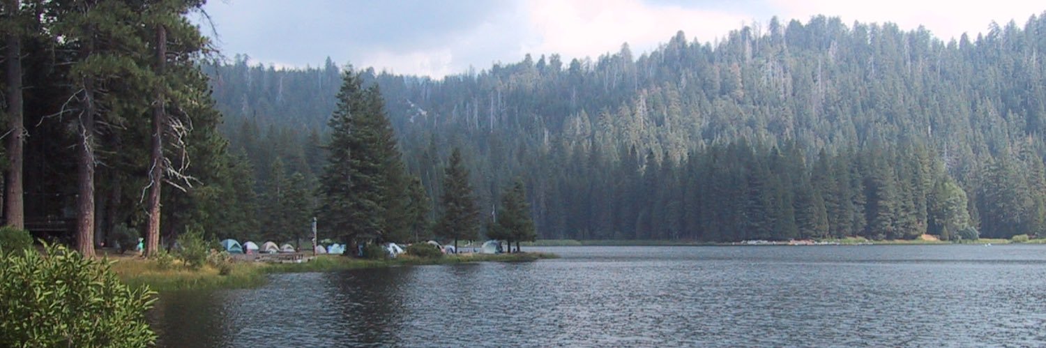 Gretchen Alarcon banner