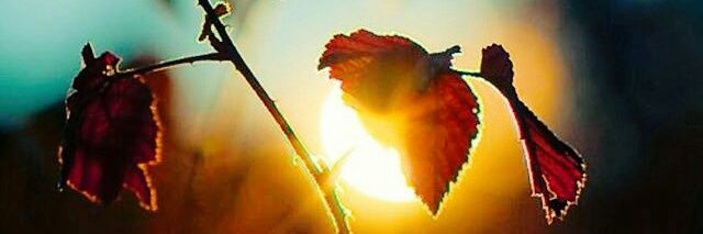 m_sinna's profile banner image