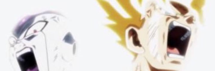 leoferrarol's profile banner image