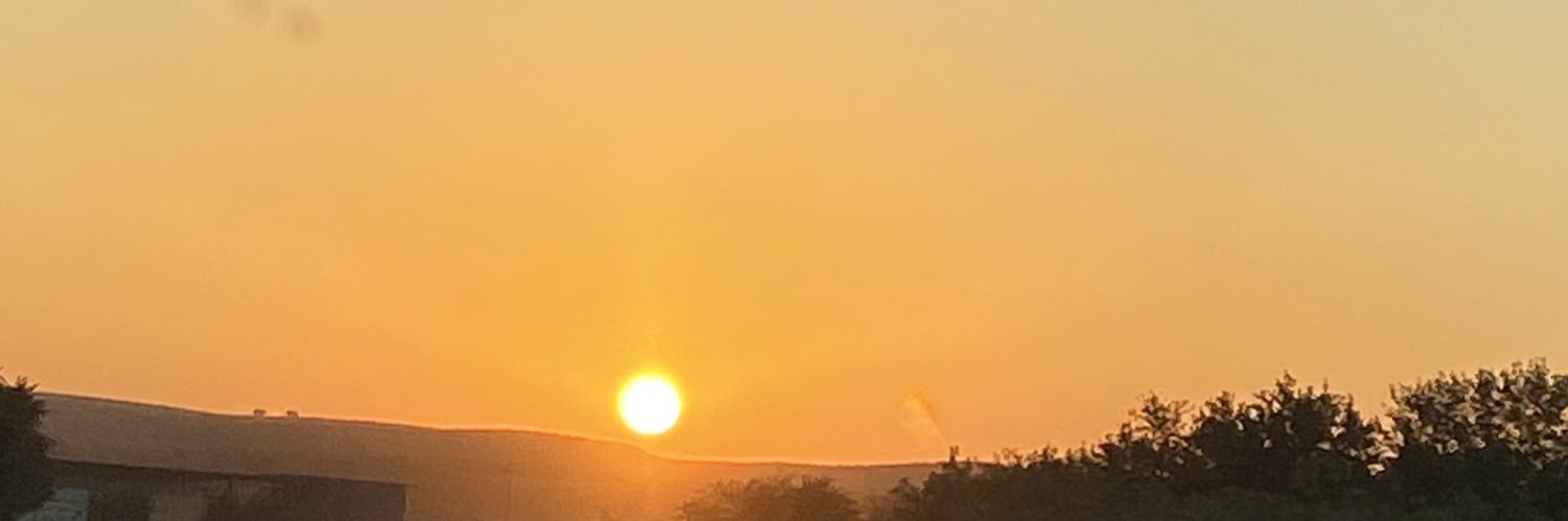 martagoonlo's profile banner image