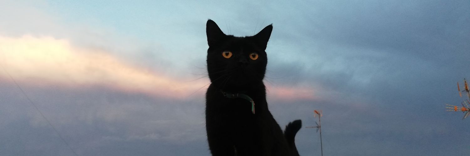paaat270's profile banner image