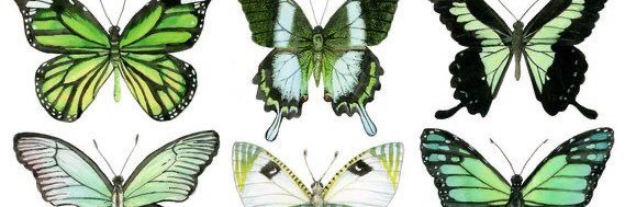 KappaDeltaGU's profile banner image