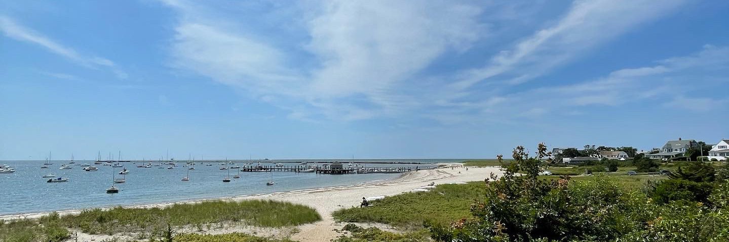 Jess Minassian banner