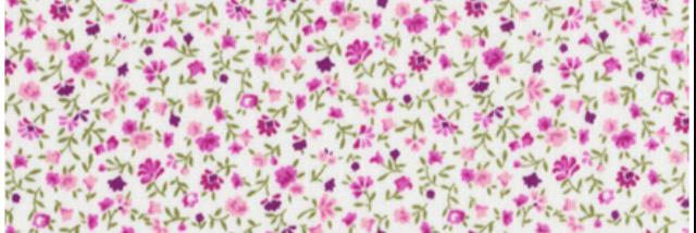 Caoimhe Quinn 🌸 banner