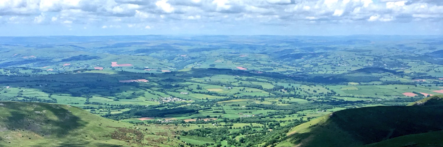 CeriHudson's profile banner image