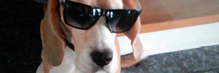 kexler_'s profile banner image