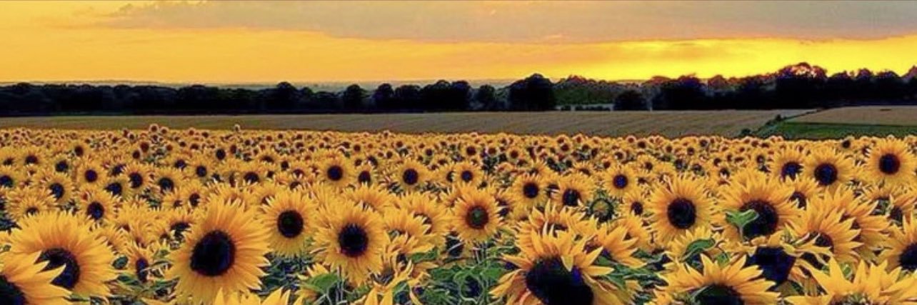 LoveKC07's profile banner image