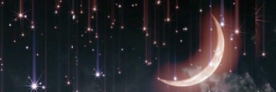 noraalmalki's profile banner image