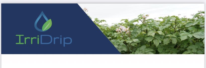 piepersrooien's profile banner image