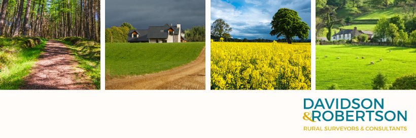 Davidson & Robertson banner