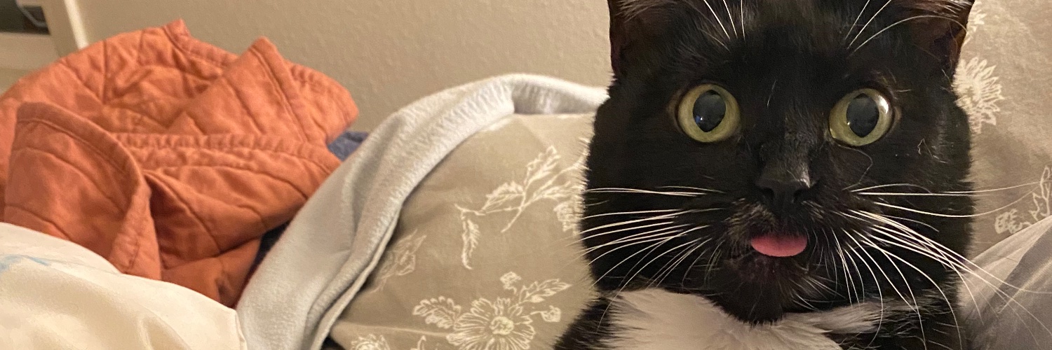 darbylime's profile banner image