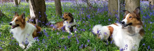 Mariafearley Profile Banner