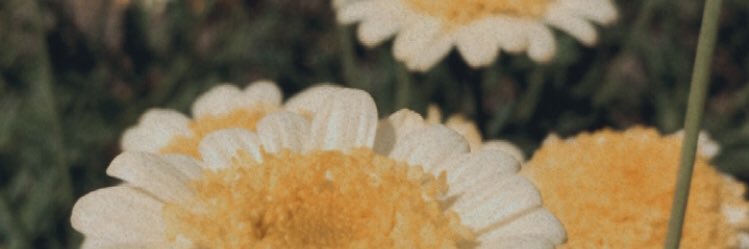 Aguss_Viera's profile banner image