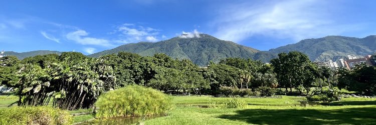 adriana fortoul c banner