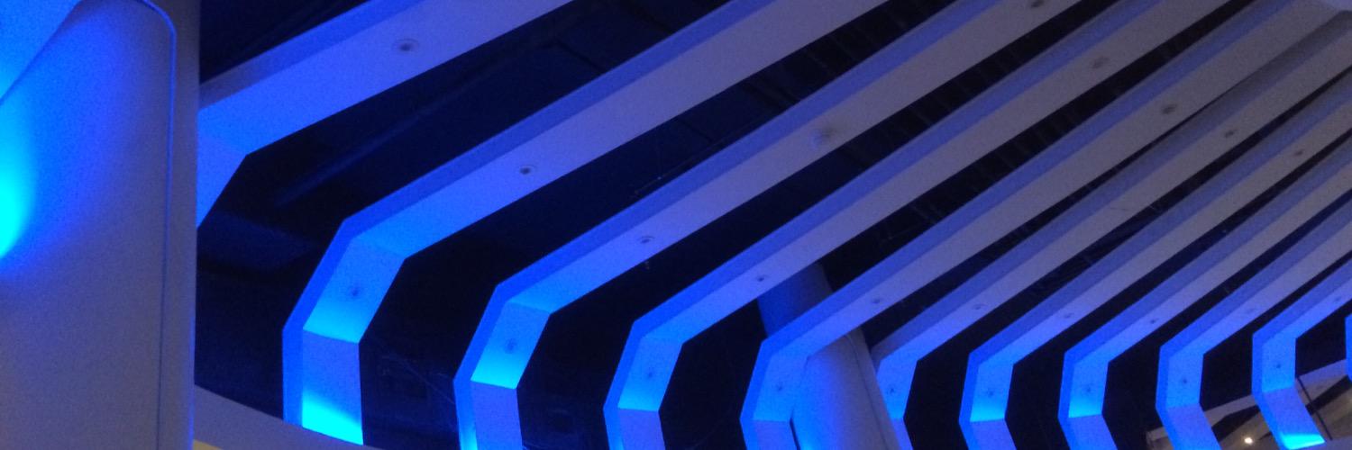 John G. Johnson banner